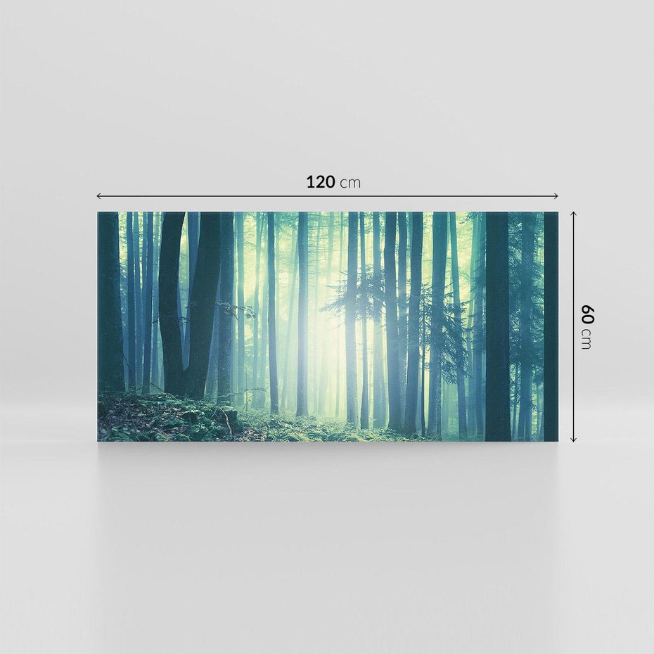 Obraz na płótnie 120x60 - Mistyczny las w mgle - las, mgła