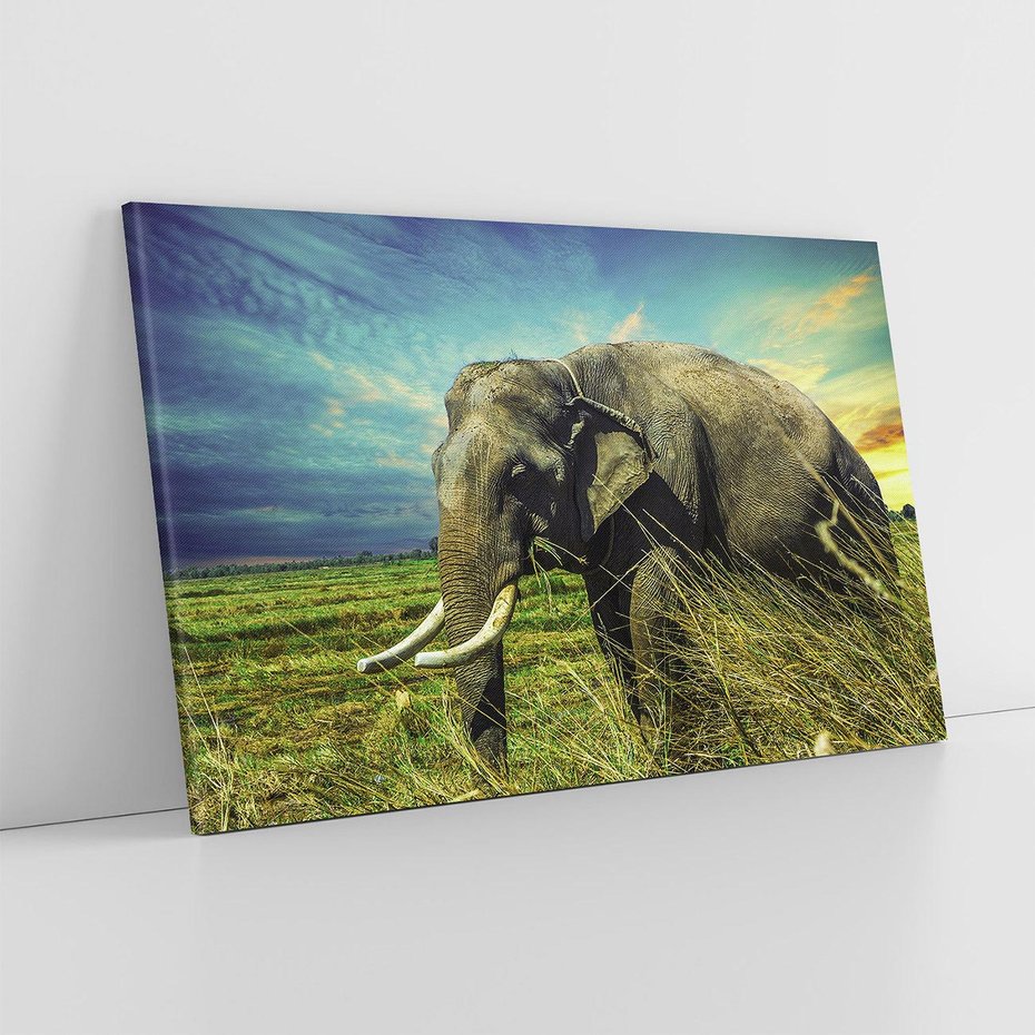 Obraz na płótnie 70x50 - Słoń w sawannie: Spotkanie z dziką przyrodą - słoń, sawanna