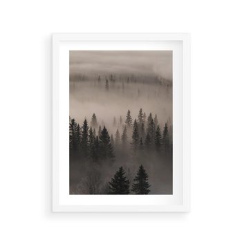 Plakat w ramie 50x70 - Mglista Opowieść Lasu - las, mgła - rama biała