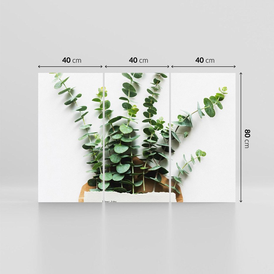 Obraz na płótnie 120x80 - Eukaliptusowa harmonia - eukaliptus, liście