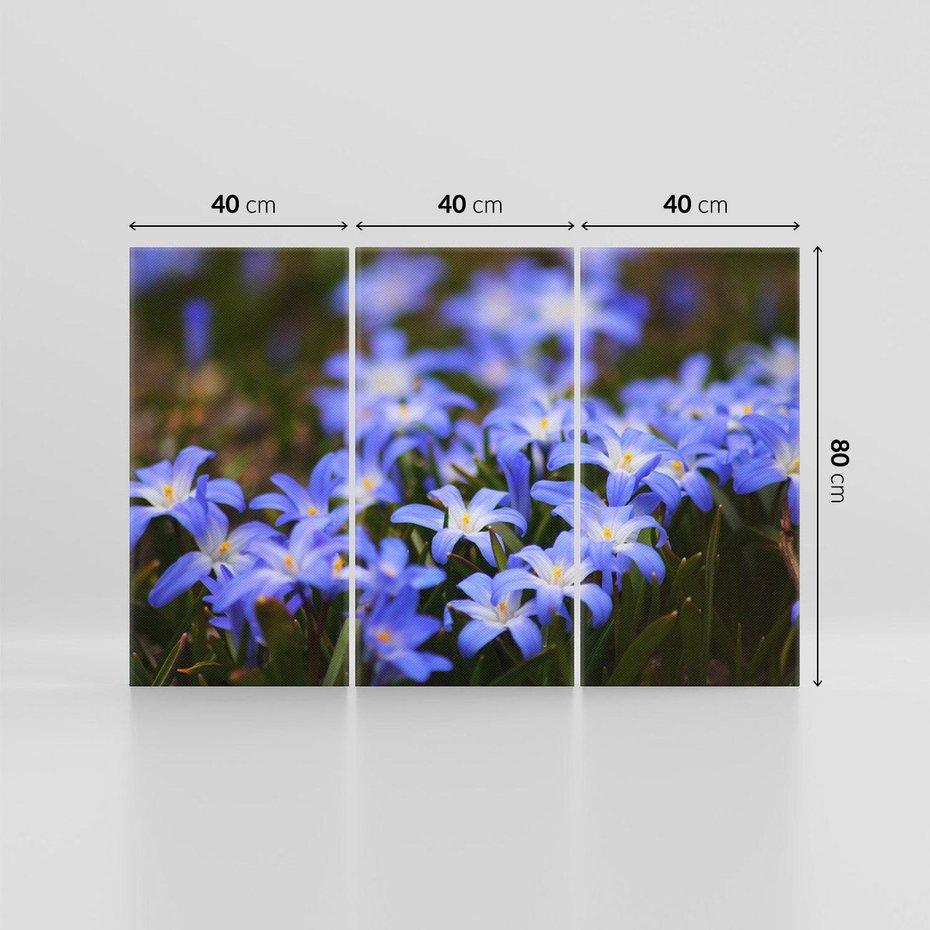 Obraz na płótnie 120x80 - Kwiatowy raj w naturze - kwiat, kwiaty