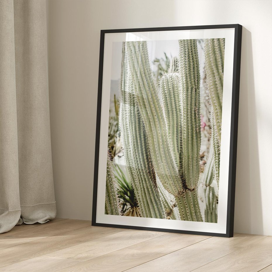 Plakat bez ramy 21x30 - Duże Kaktusy w Pejzażu - kaktus, duże kaktusy na pustyni