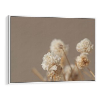 Obraz w ramie 120x80 - Przezroczyste piękno - gipsówka, suche - rama biała