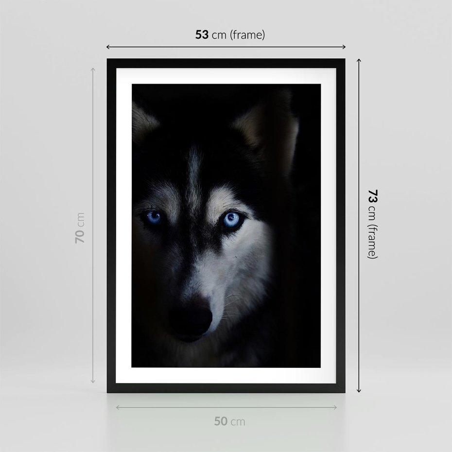 Plakat w ramie 50x70 - Wilk i husky: siła przyjaźni - wilk, husky - rama czarna