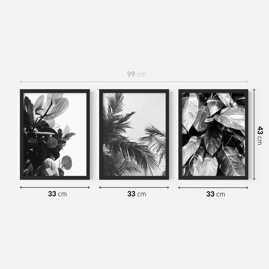 Zestaw obrazy w ramie 30x40 galeria - Liście, czarno, białe, palmy - rama czarna