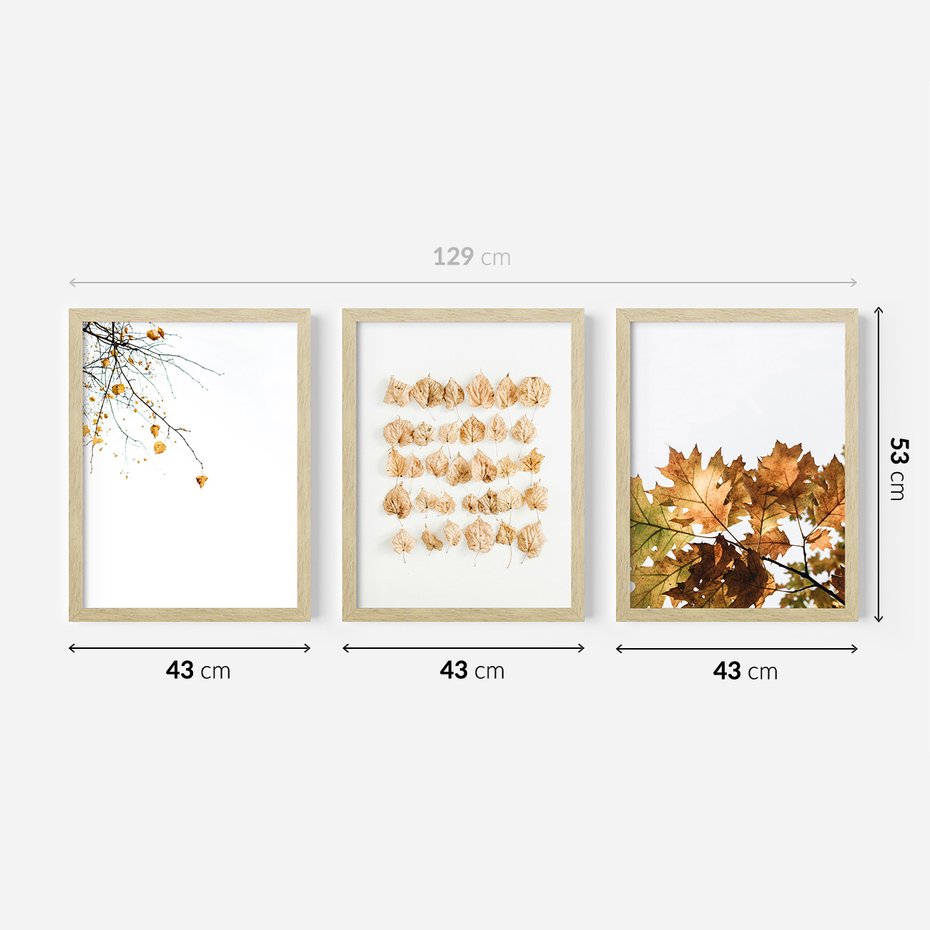 Zestaw obrazy w ramie 40x50 galeria - Liście, jesień, kompozycja - rama drewno