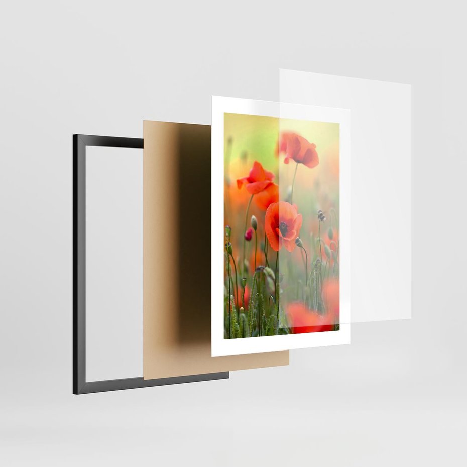 Plakat w ramie 30x40 - Makowa Pasja - maki, kwiaty - rama czarna