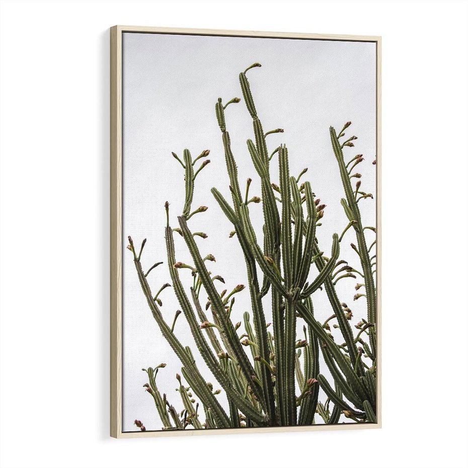 Obraz w ramie 80x120 - Ekskluzywna Roślinność - kaktusy, liście - rama drewno