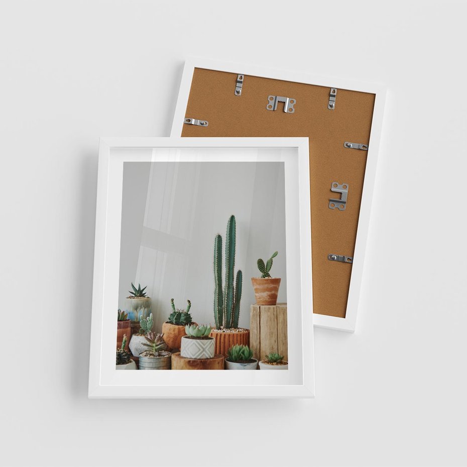 Plakat w ramie 40x50 - Naturalna Harmonia - kaktusy, liście - rama biała