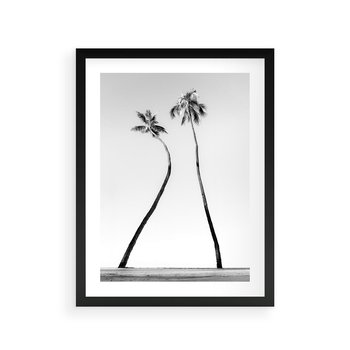 Plakat w ramie 50x70 - Samotne Palmy - czarno biała fotografia, dwie samotne palmy - rama czarna