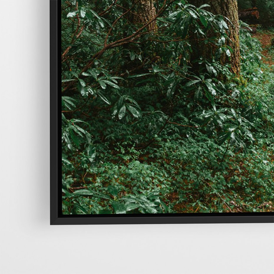 Obraz w ramie 70x100 - Mgliste Marzenia - artystyczna fotografia, las - rama czarna