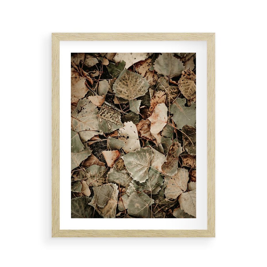 Plakat w ramie 40x50 - Magia Jesiennych Liści - liście, suche liście - rama drewno