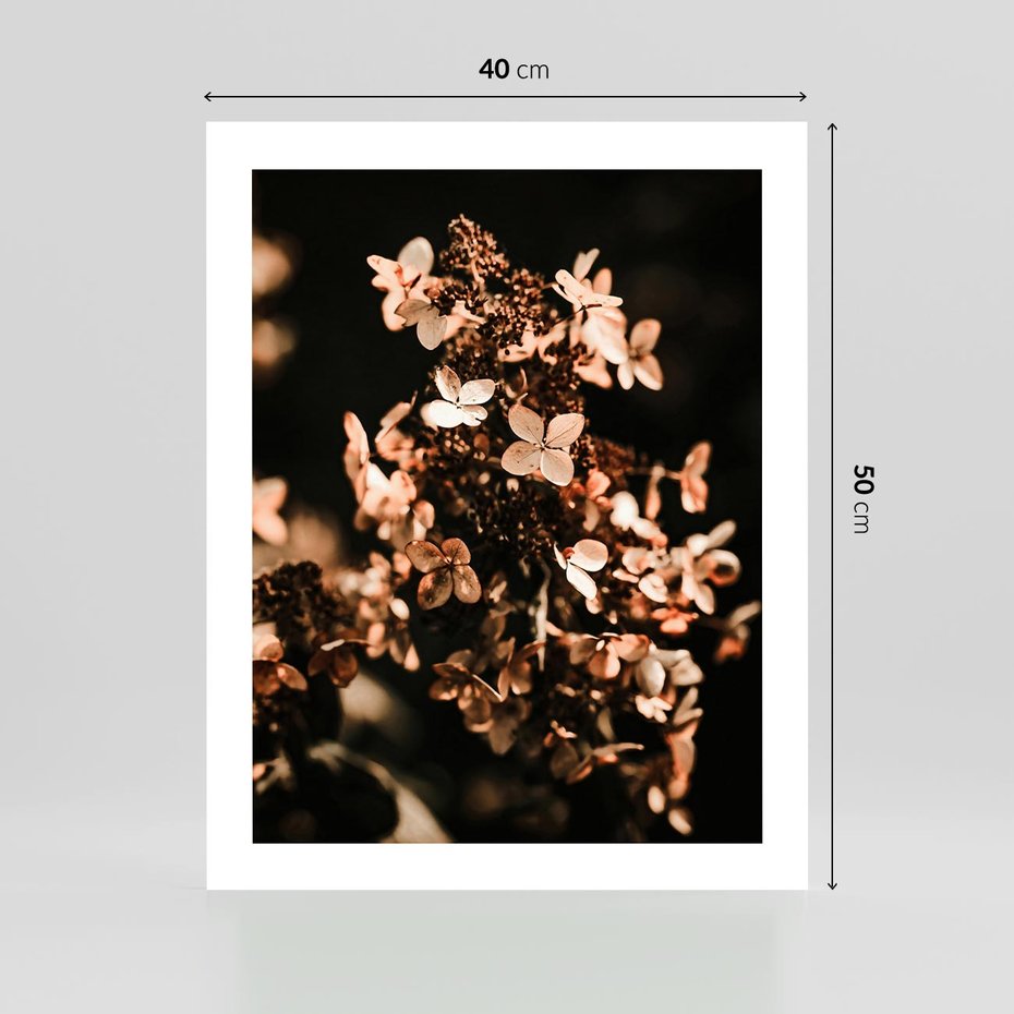 Plakat bez ramy 40x50 - Hortensja - Suchy Kwiat w Sztuce - hortensja, suchy kwiat