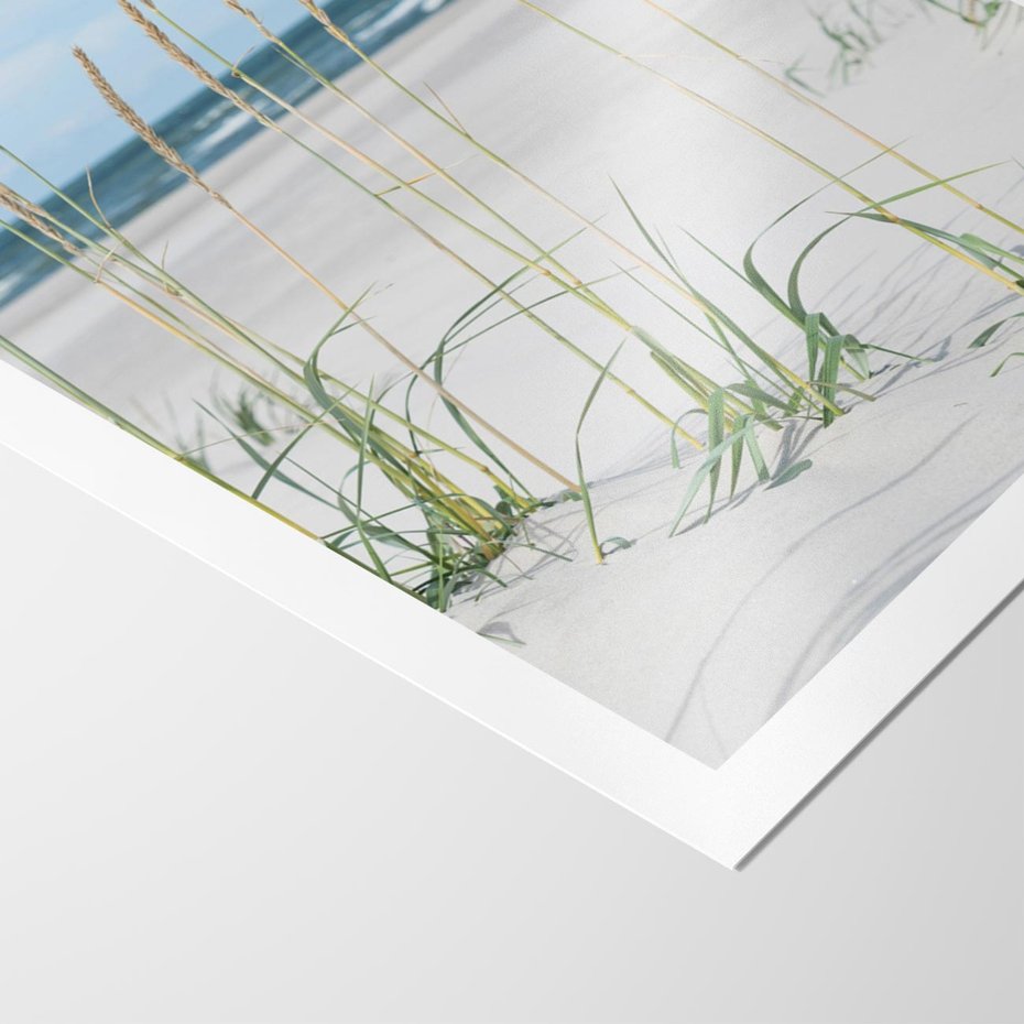 Plakat bez ramy 50x70 - Przytulna Śródziemnomorska Trawa - plaża, trawy