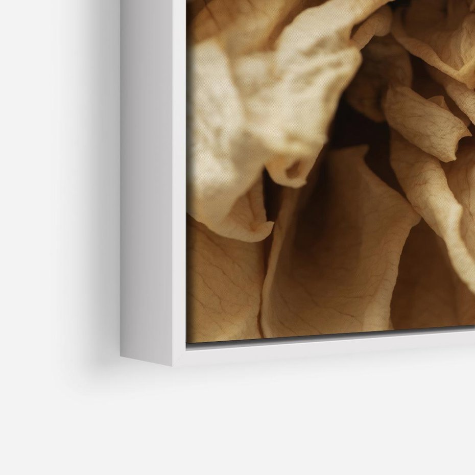 Obraz w ramie 50x50 - Zjawiskowe zasuszone kwiaty - zasuszone, kwiaty - rama biała