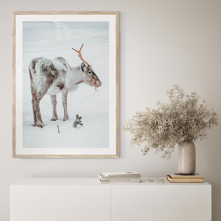 Plakat w ramie 50x70 - Magia Świąt - renifer na śniegu, śnieg - rama drewno