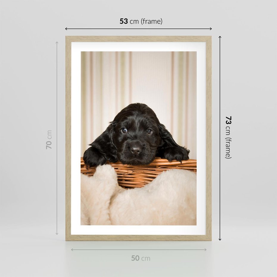 Plakat w ramie 50x70 - Uroczy szczeniak w akcji - piesek, szczeniak - rama drewno
