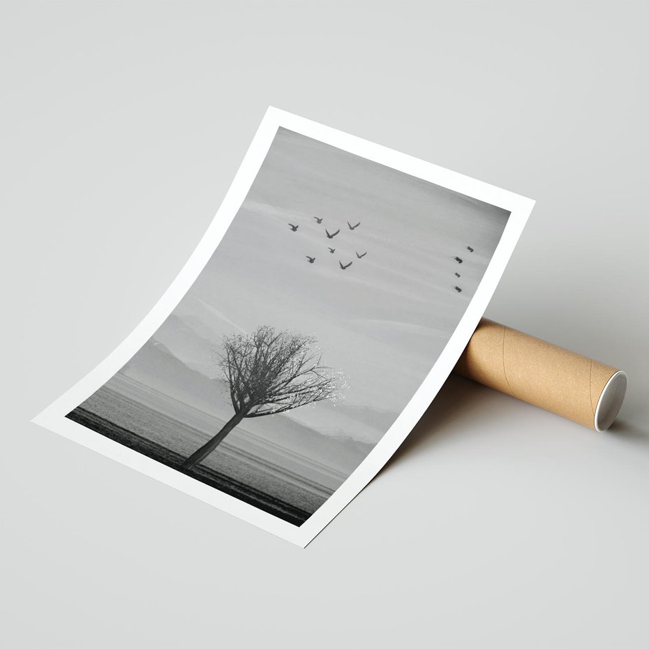 Plakat bez ramy 21x30 - Samotne Drzewo - samotne drzewo w polu, czarno białe zdjęcie