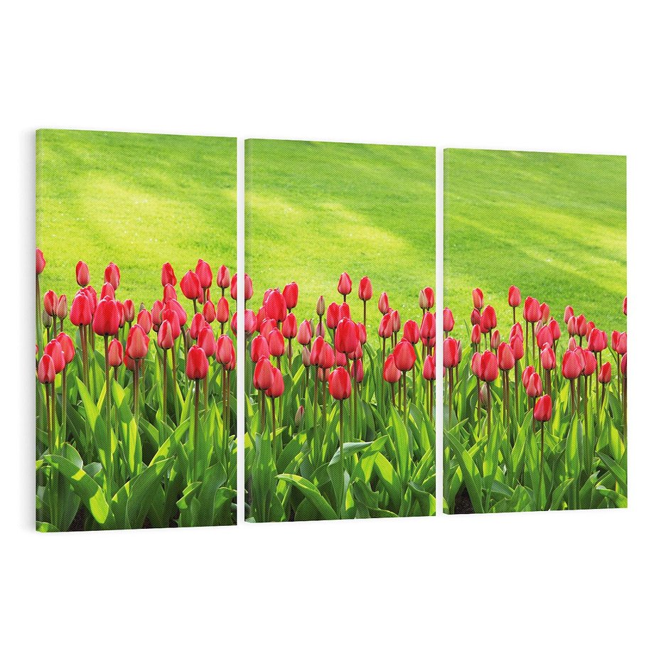 Obraz na płótnie 120x80 - Tulipanowy raj - kwiat, kwiaty