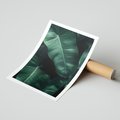 Plakat bez ramy 21x30 - Liście Bananowca - minimalizm, zielone liście bananowca