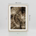 Plakat w ramie 50x70 - Natura Pod Lupą - pień drzewa, przekrój - rama drewno