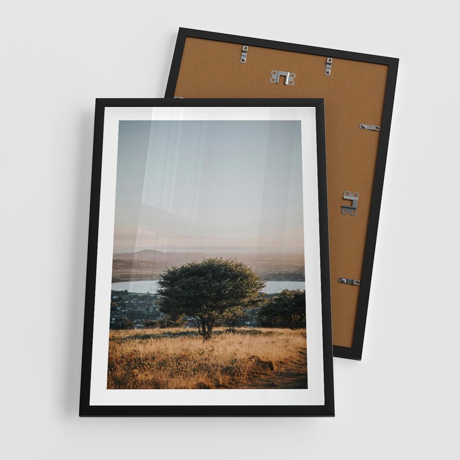 Plakat w ramie 50x70 - Siła Natury - drzewo, pejzaż - rama czarna