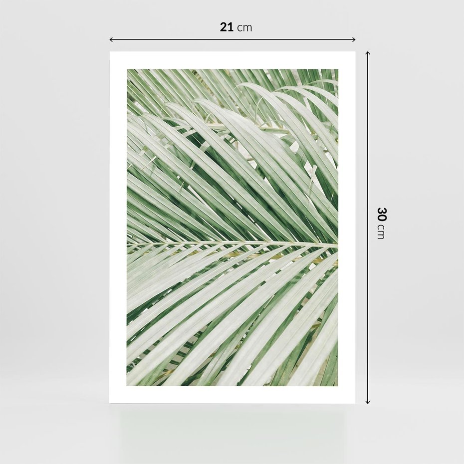Plakat bez ramy 21x30 - Liście Palmy: Egzotyczna Grafika - palma, liście palmy
