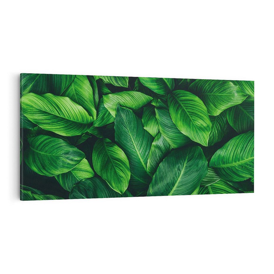 Obraz na płótnie 120x60 - Palma Liście Kwiat - palma, liście