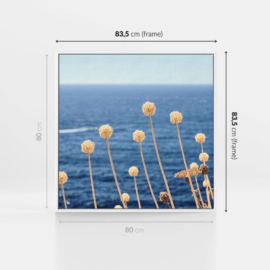 Obraz w ramie 80x80 - Kontrasty Natury - fotografia, pierwszy plan sucha roślinność - rama biała