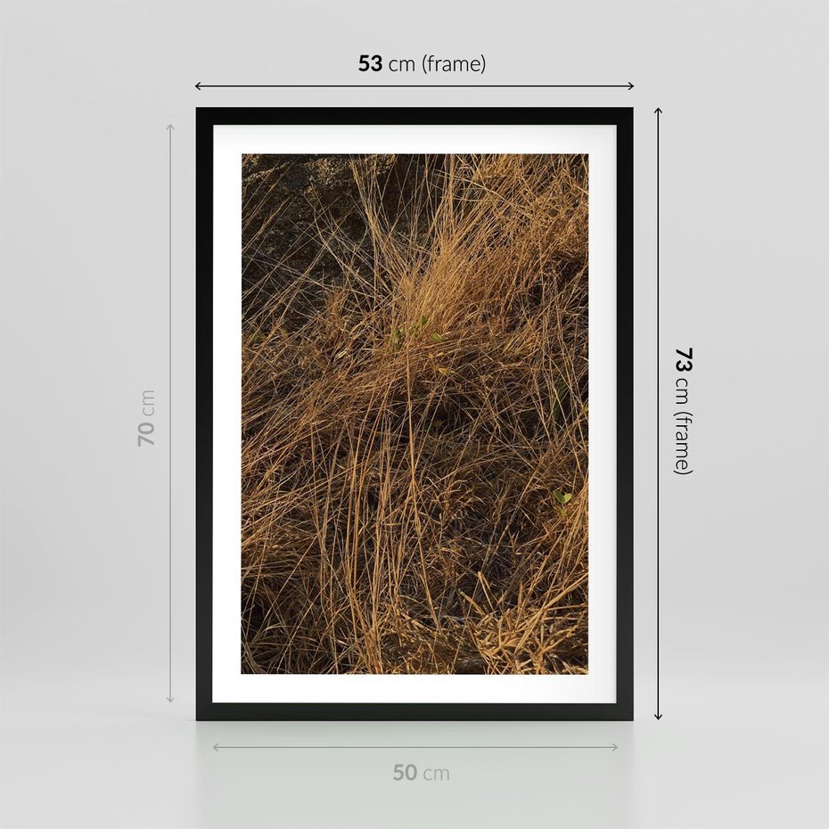 Plakat w ramie 50x70 - Szlachetna Suchość Traw - trawy, suche trawy - rama czarna