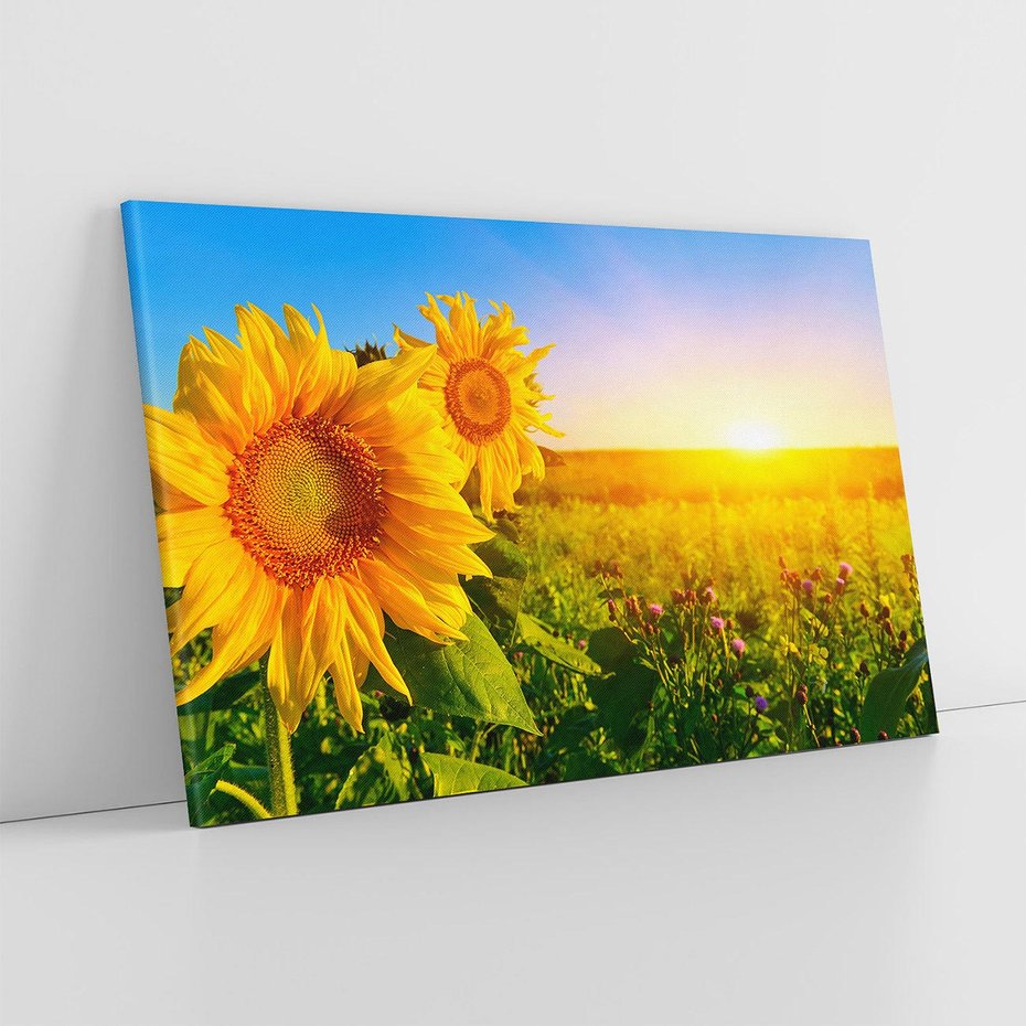 Obraz na płótnie 120x80 - Słoneczniki na malowniczej łące - słoneczniki, łąka