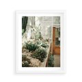 Plakat w ramie 40x50 - Sukulenty w Szklarni - sukulenty, w szklarni - rama biała
