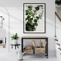 Plakat bez ramy 21x30 - Zielone eukaliptusy - eukaliptus, liście