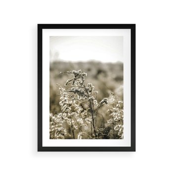 Plakat w ramie 40x50 - Pampas i Bocho - suche trawy, bocho - rama czarna