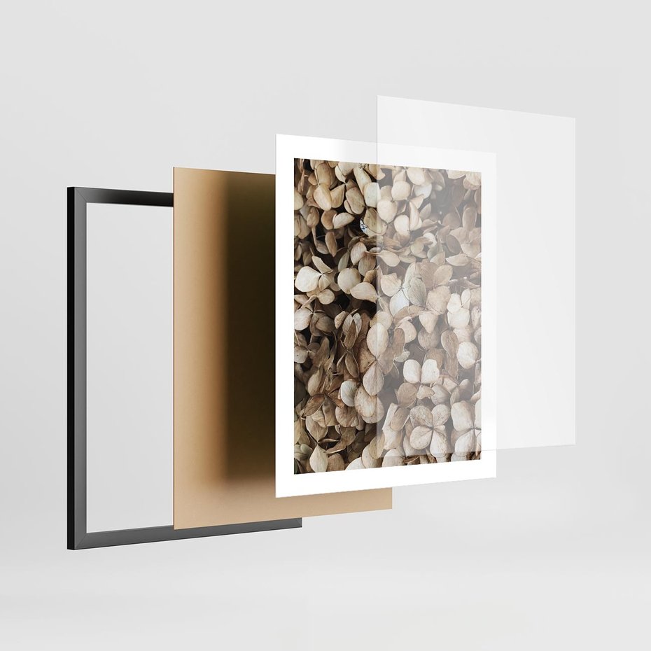 Plakat w ramie 40x50 - Delikatność Hortensji: Kompozycja Kwiatów w Beżu - hortensja, odcienie beżu - rama czarna