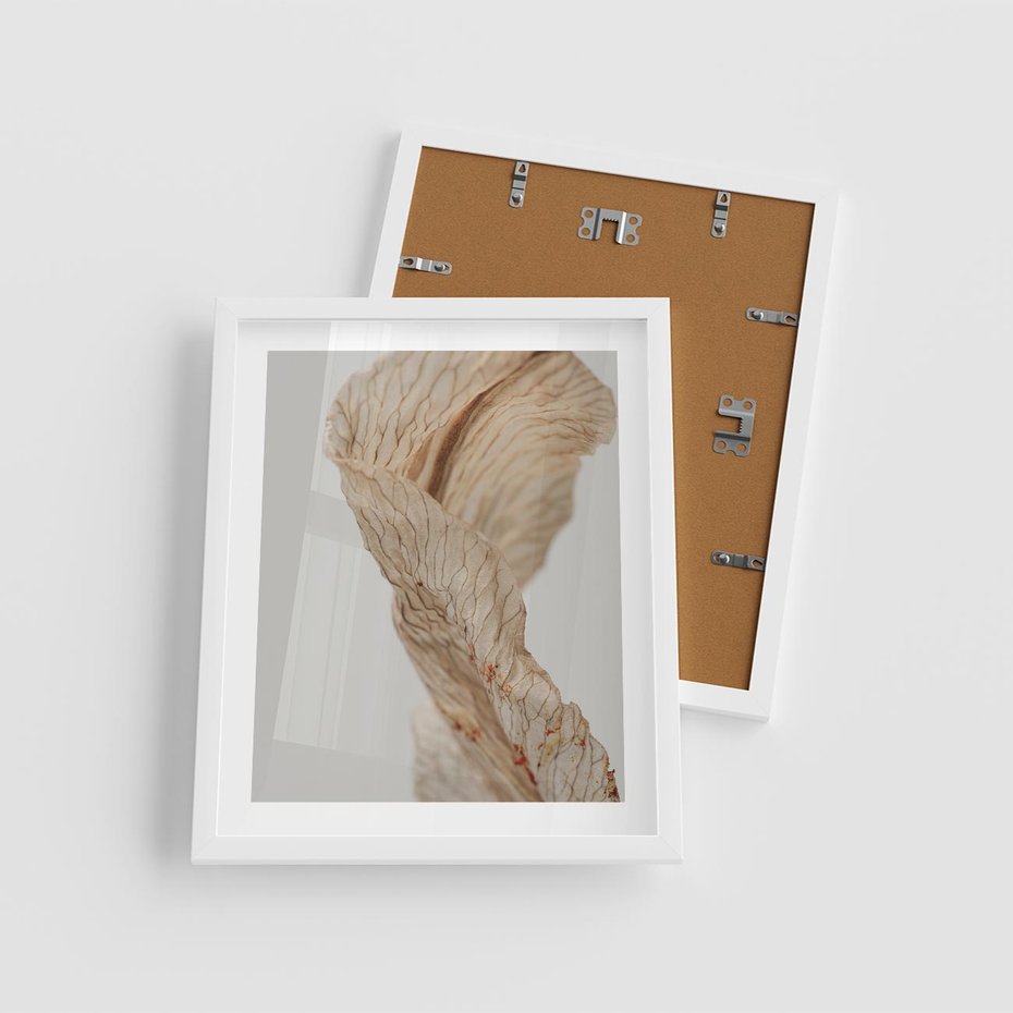 Plakat w ramie 40x50 - Suszone piękno - susz, suche - rama biała