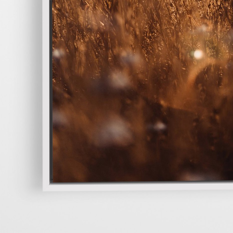 Obraz w ramie 70x100 - Zachwyt zachodem słońca na łące - zachód, słońca - rama biała