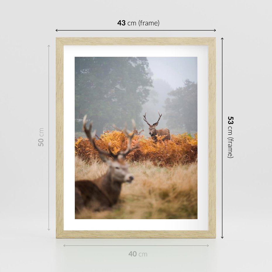 Plakat w ramie 40x50 - Malownicza Harmonia - jelenie, jesień - rama drewno