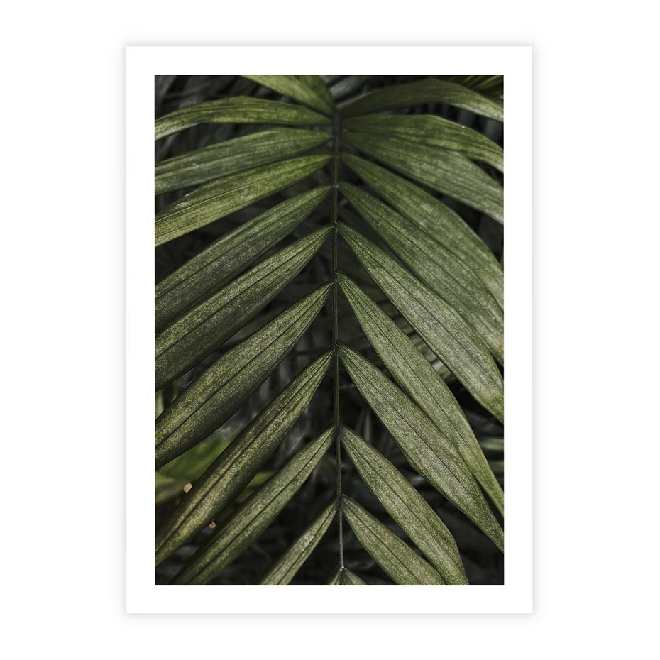 Plakat bez ramy 21x30 - W Liściach Ukryte - zdjęcie, fotografia