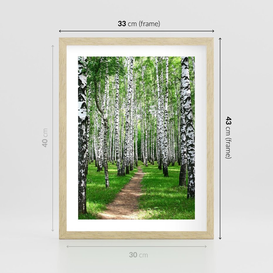 Plakat w ramie 30x40 - Bajkowy las pełen brzóz - las, brzozy - rama drewno