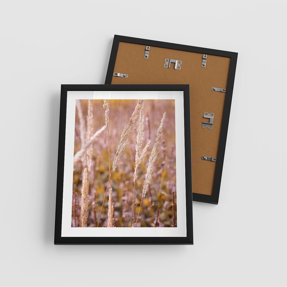 Plakat w ramie 40x50 - Sucha Trawa w Sierpniu - trawy, łąka - rama czarna