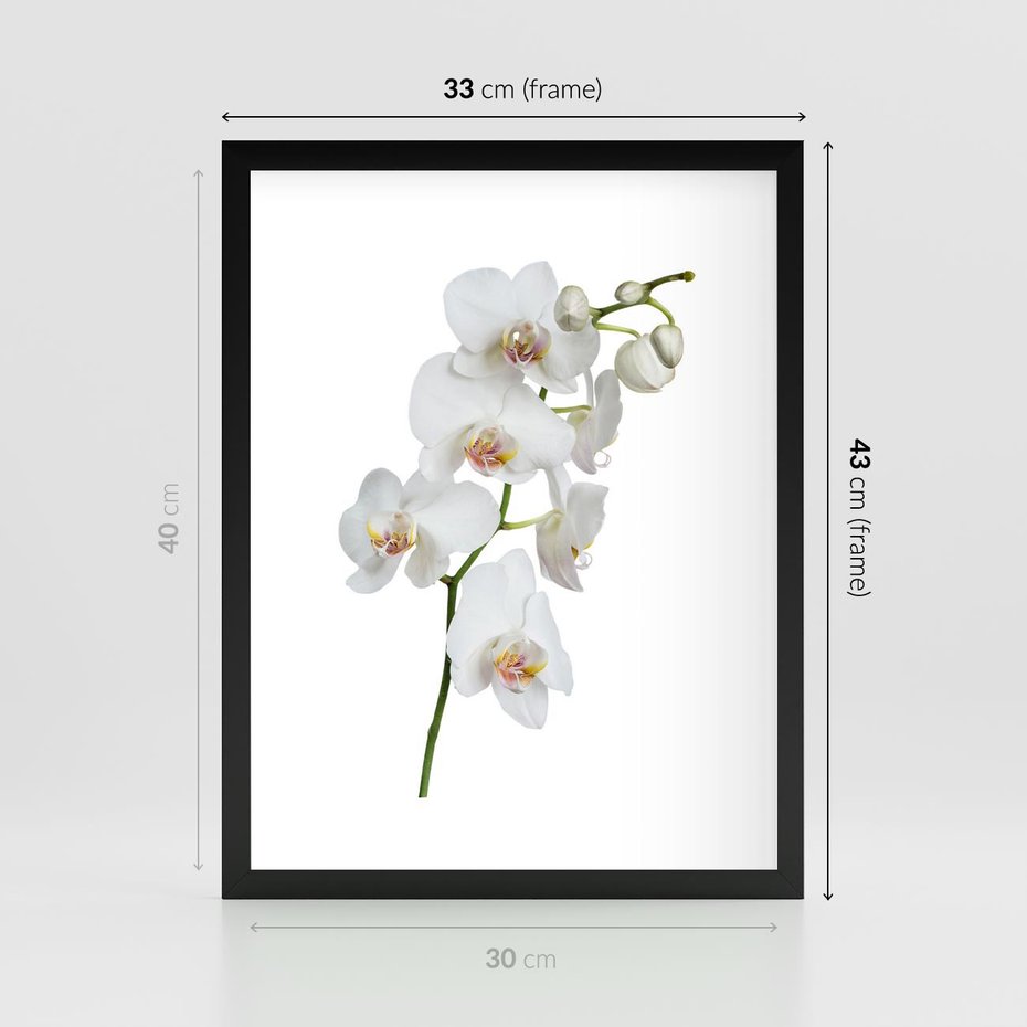 Plakat w ramie 30x40 - Ekskluzywny Relaks - storczyk, spa - rama czarna