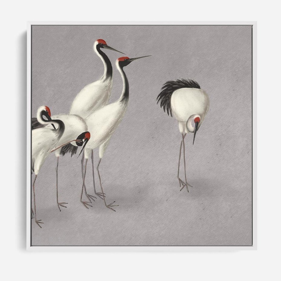 Obraz w ramie 50x50 - Spojrzenie wstecz w pędzlu - szkic rysunek, japońskie żurawie - rama biała