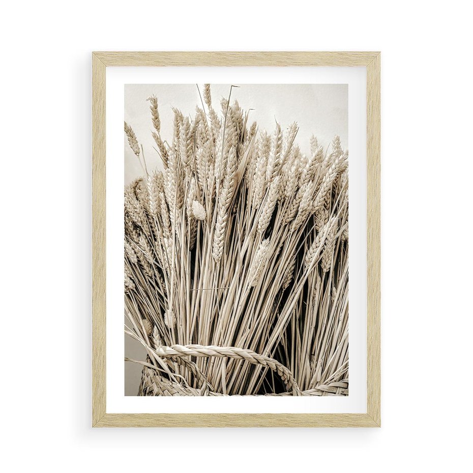 Plakat w ramie 50x70 - Letni Plon - zboże, kłosy zboża - rama drewno
