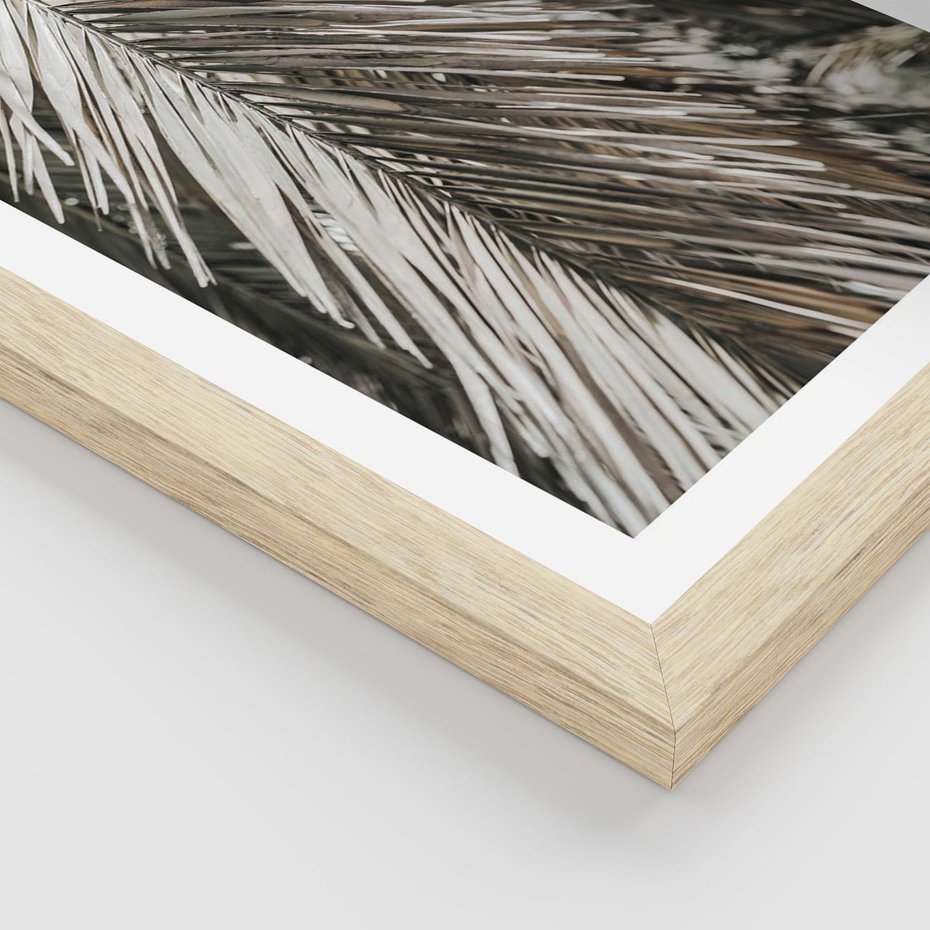 Plakat w ramie 40x50 - Egzotyczne Gałęzie - suche gałęzie, liście palmy - rama drewno