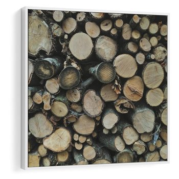 Obraz w ramie 80x80 - Bliskość Natury - drewno, las - rama biała