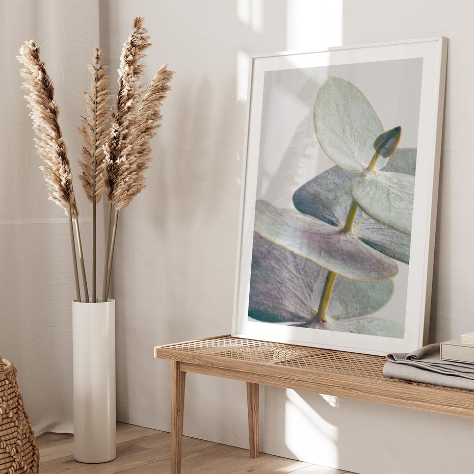 Plakat bez ramy 50x70 - Zbliżenie Liści Eukaliptusa - eukaliptus, zbliżenie