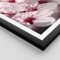 Plakat w ramie 30x40 - Kwitnąca Wiśnia - kwiaty, kwitnąca - rama czarna