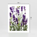 Plakat bez ramy 30x40 - Fioletowa harmonia lawendy - lawenda, fiolet