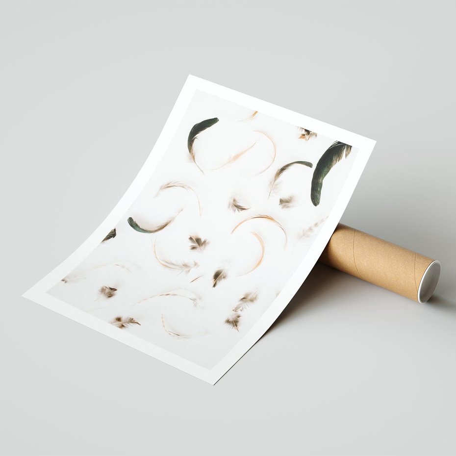 Plakat bez ramy 40x50 - Kompozycja z Piór - pióra, kompozycja